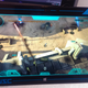 Image for article titled Spartan Assault May Be Different, But It Tastes Like Halo To Me